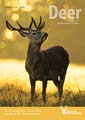 Deer - Summer 2016 Cover