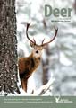 Deer - Winter 13/14 Cover